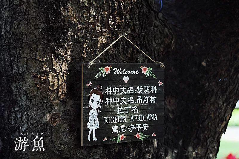 疯狂之冠